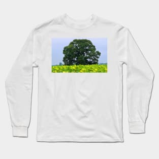 Tree In A Field Of Sunflowers Long Sleeve T-Shirt